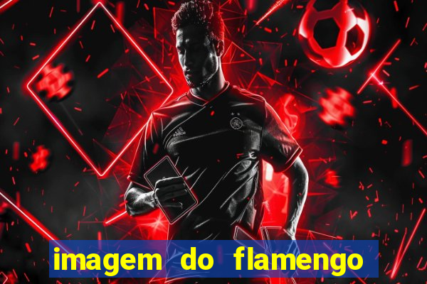 imagem do flamengo para perfil